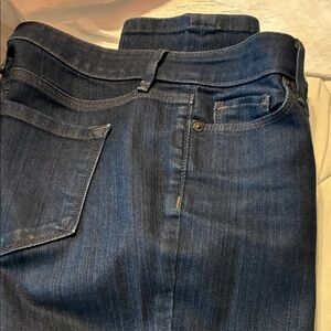 LOFT Women’s Blue Jeans